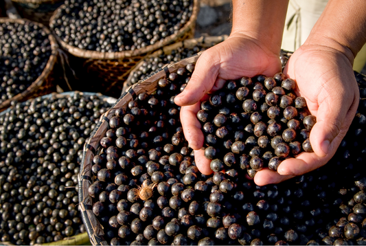 Açaí | Superfoods #101