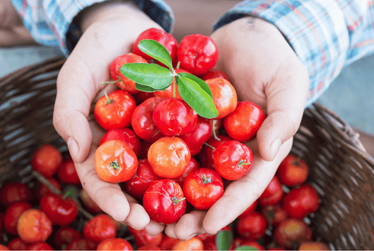 Acerola | Superfoods #101