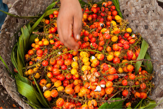 Guarana | Superfoods #101