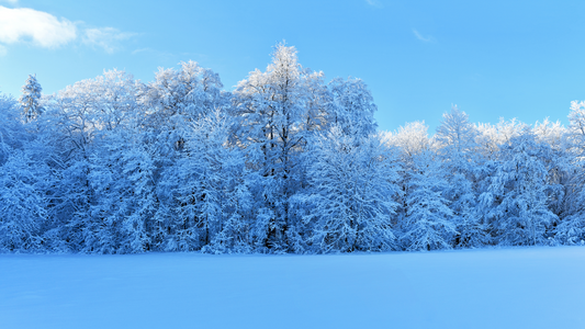 Fit durch den Winter: 5 Tipps gegen Winter Blues